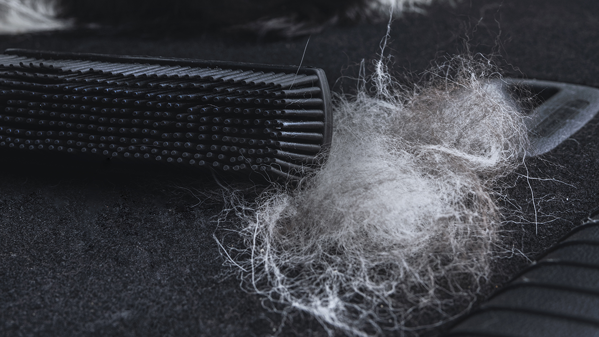 cepillo limpiador de pelo de mascota junto a bola de pelos en un maletero